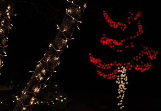 Christmas Lights Design Consultation